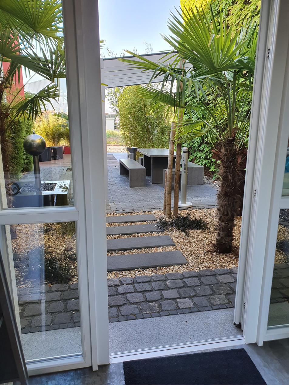 Blick durch die offene Tür auf eine begrünte Terrasse mit Palmen
